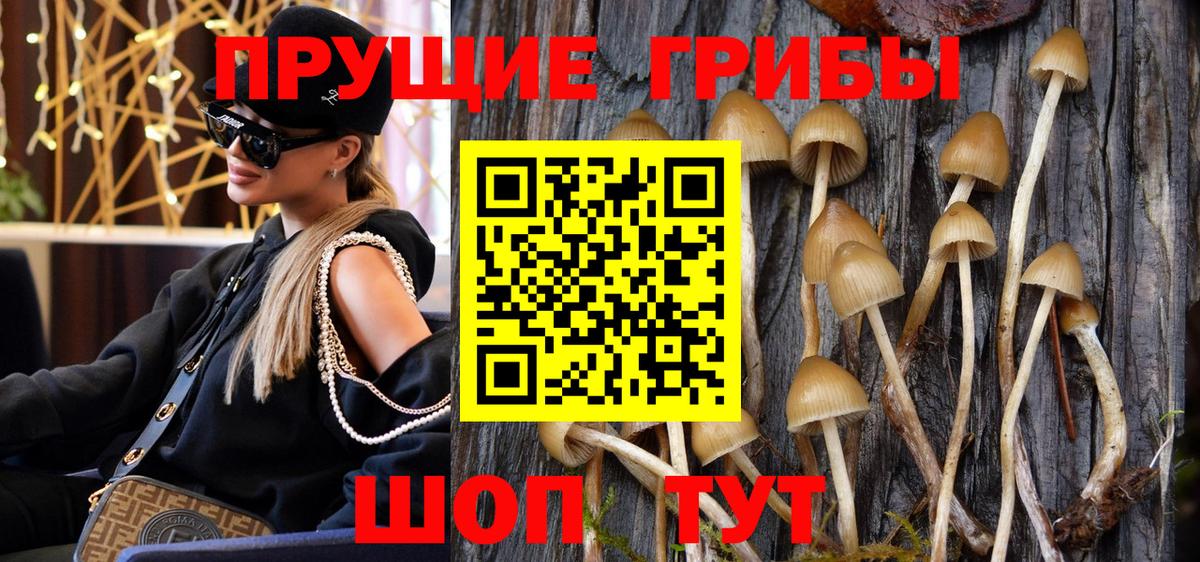 Псилоцибиновые грибы GOLDEN TEACHER Новотроицк