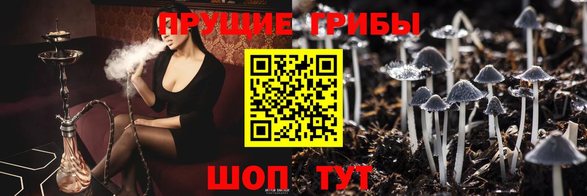 Псилоцибиновые грибы Cubensis  купить наркотик  Новотроицк  Вход с VPN 